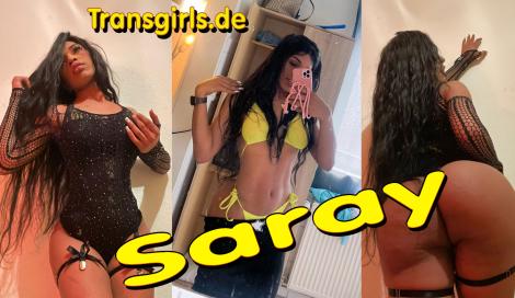Premium Vorschaubild von TS Transe Saray Shemale in Berlin bei Transgirls.de