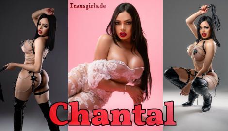 Premium Vorschaubild von TS Transe Chantal Shemale in Berlin bei Transgirls.de